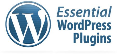 Essential WordPress Plugins That Every Website Sho...