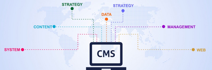 How to Choose the Right CMS for Your Website