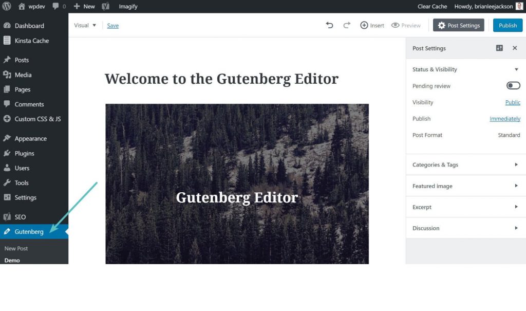 gutenberg-editor