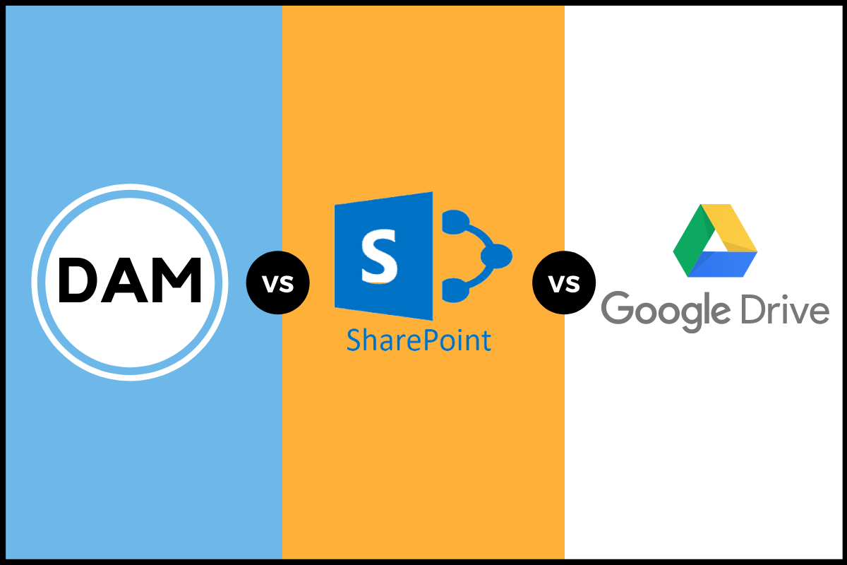DAM Vs SharePoint Vs Google – What’s Best For ...