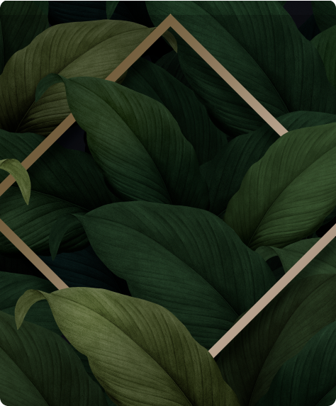 img-1.png